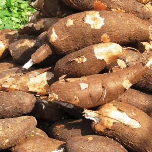 Cassava (1 Tonne)