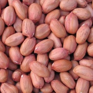 Groundnuts (1 Tonne)