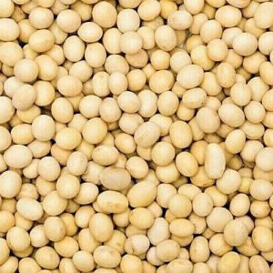 Soybean (1 Tonne)